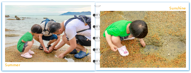 三亚旅游文化发展集团有限公司 三亚旅游文化发展集团有限公司