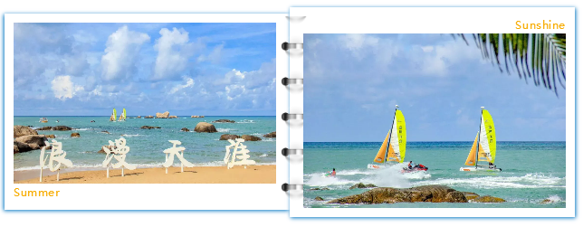 三亚旅游文化发展集团有限公司 三亚旅游文化发展集团有限公司