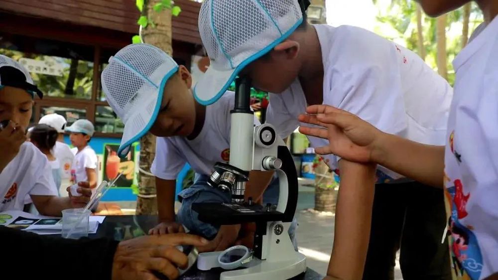 三亚旅游文化发展集团有限公司