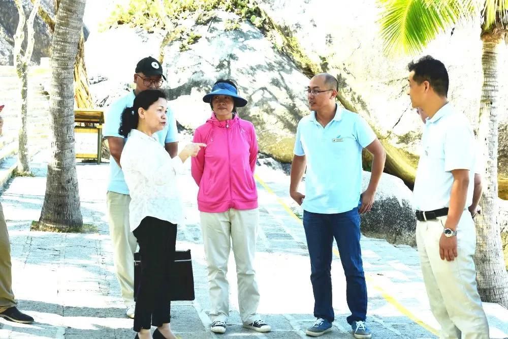 三亚旅游文化发展集团有限公司