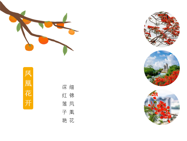 三亚旅游文化发展集团有限公司 三亚旅游文化发展集团有限公司