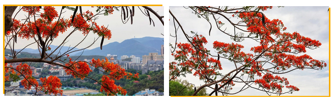 三亚旅游文化发展集团有限公司 三亚旅游文化发展集团有限公司