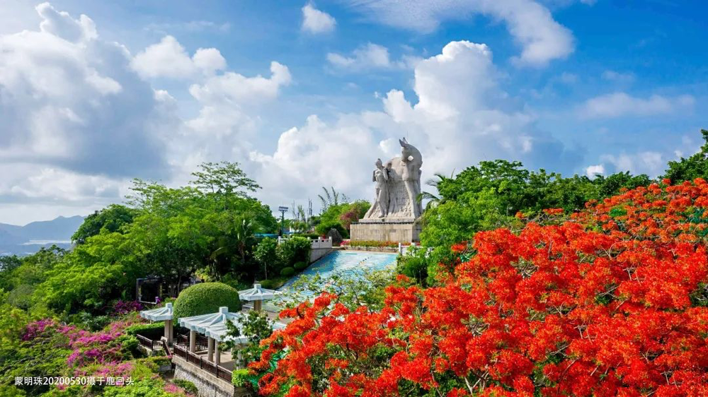 三亚旅游文化发展集团有限公司 三亚旅游文化发展集团有限公司
