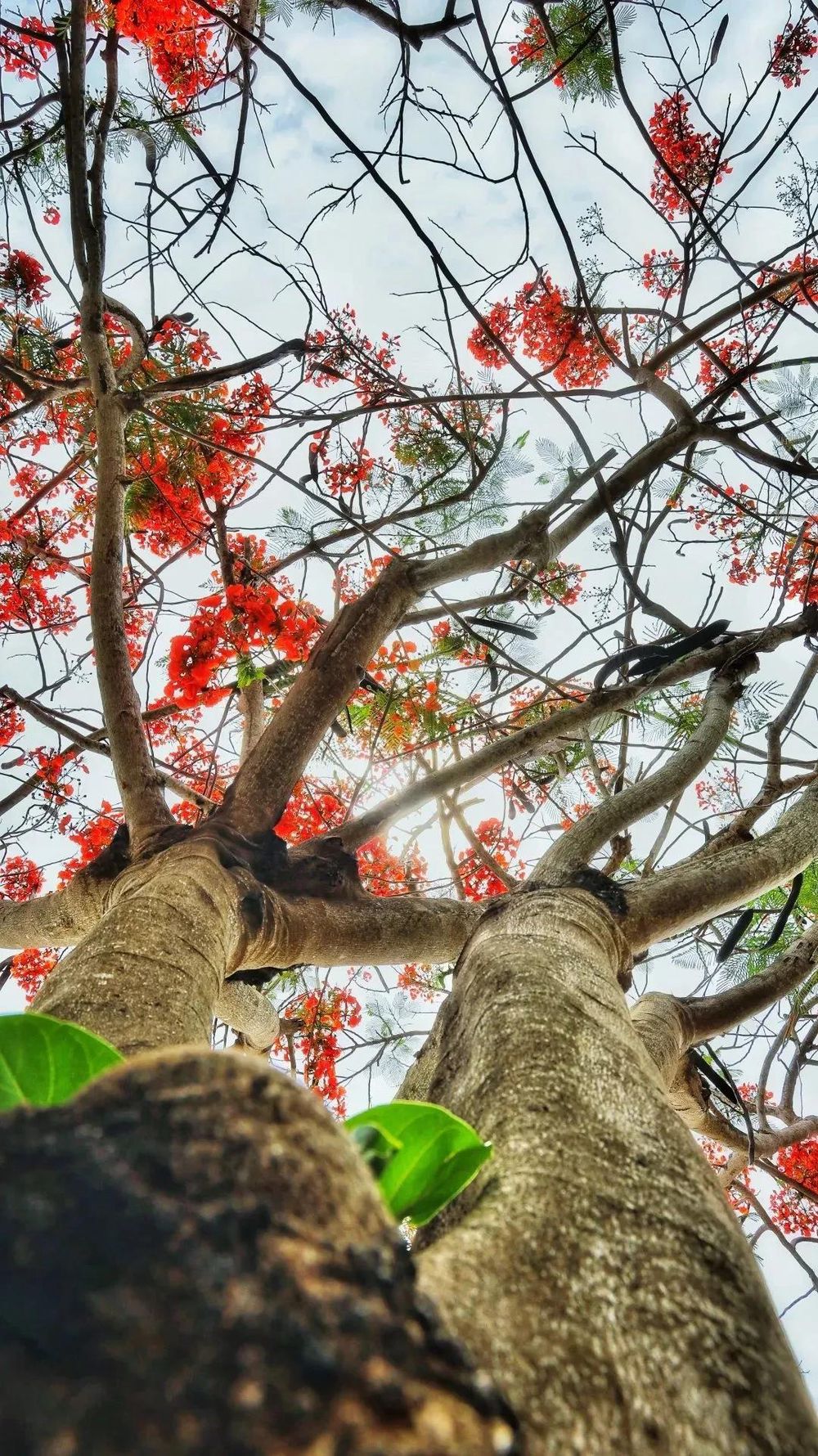 三亚旅游文化发展集团有限公司 三亚旅游文化发展集团有限公司