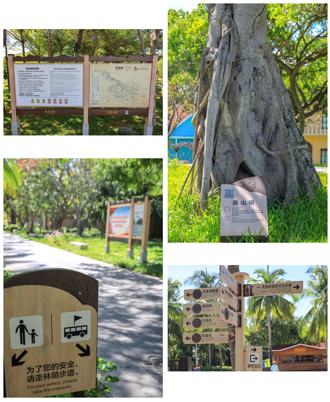 三亚旅游文化发展集团有限公司