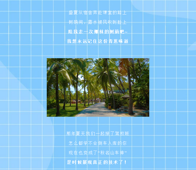 三亚旅游文化发展集团有限公司