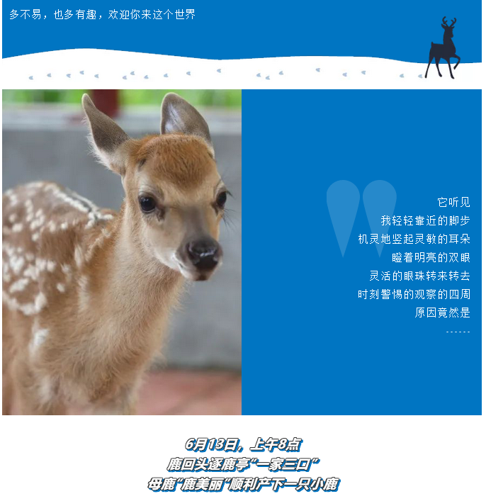 三亚旅游文化发展集团有限公司 三亚旅游文化发展集团有限公司