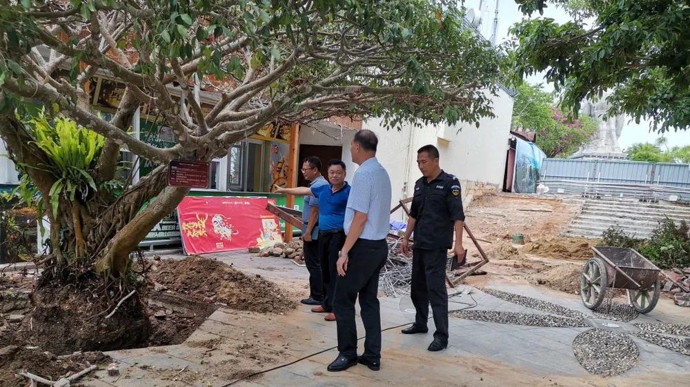 三亚旅游文化发展集团有限公司 三亚旅游文化发展集团有限公司