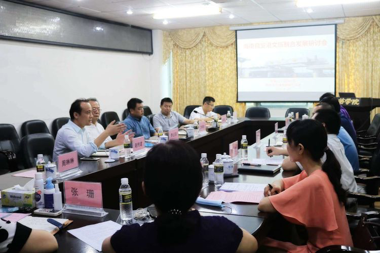 三亚旅游文化发展集团有限公司