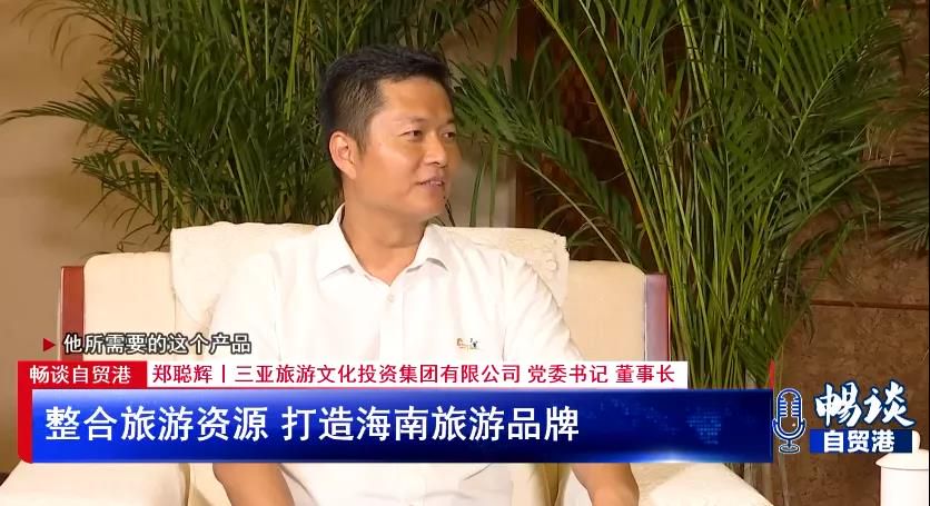 三亚旅游文化发展集团有限公司 三亚旅游文化发展集团有限公司