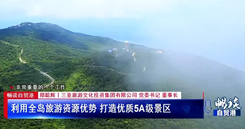 三亚旅游文化发展集团有限公司 三亚旅游文化发展集团有限公司