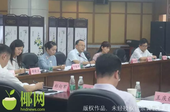 三亚旅游文化发展集团有限公司 三亚旅游文化发展集团有限公司