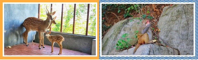 三亚旅游文化发展集团有限公司 三亚旅游文化发展集团有限公司