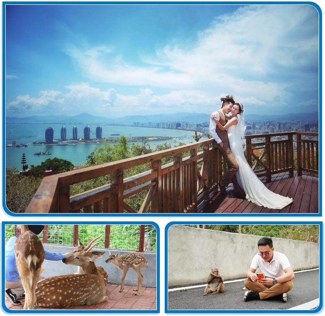 三亚旅游文化发展集团有限公司 三亚旅游文化发展集团有限公司