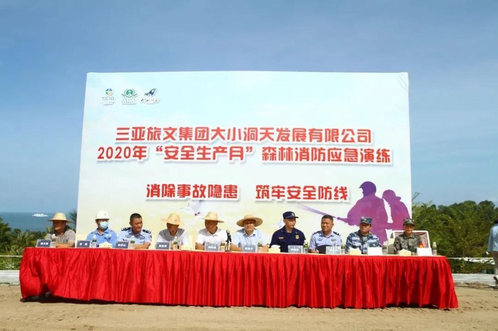 三亚旅游文化发展集团有限公司 三亚旅游文化发展集团有限公司