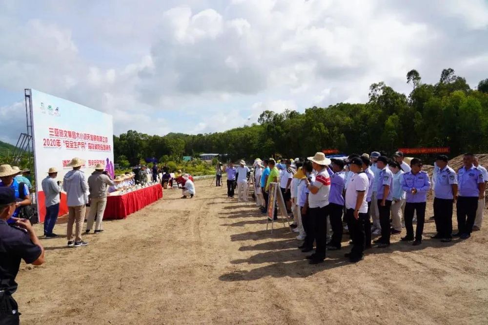 三亚旅游文化发展集团有限公司 三亚旅游文化发展集团有限公司