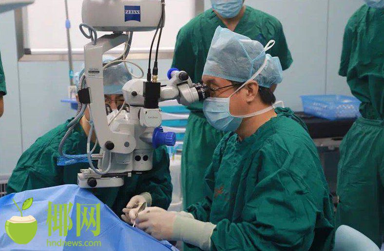 三亚旅游文化发展集团有限公司 三亚旅游文化发展集团有限公司