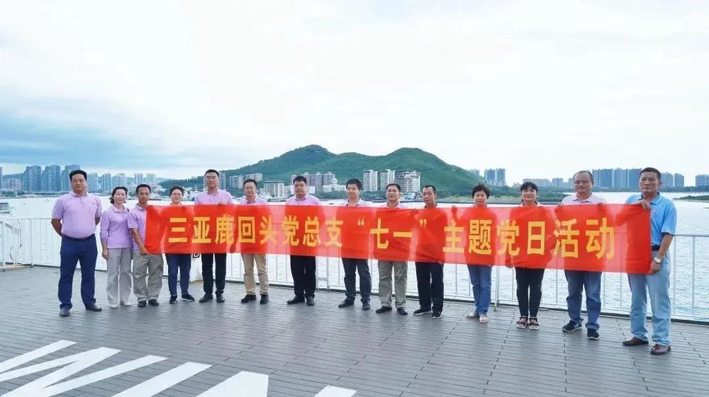 三亚旅游文化发展集团有限公司 三亚旅游文化发展集团有限公司