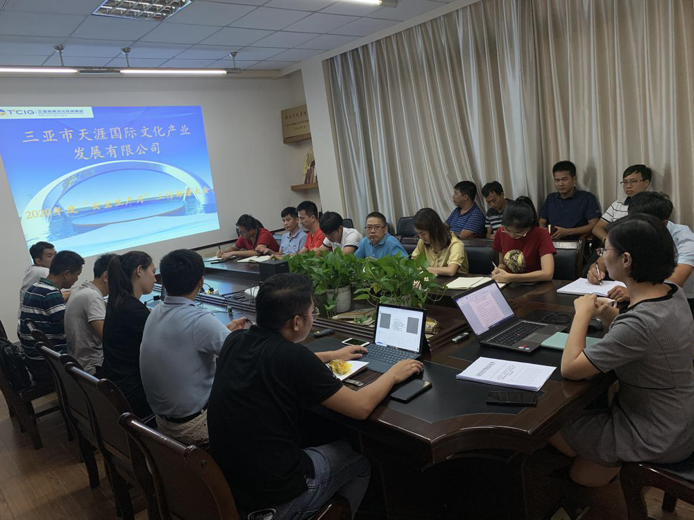 三亚旅游文化发展集团有限公司 三亚旅游文化发展集团有限公司