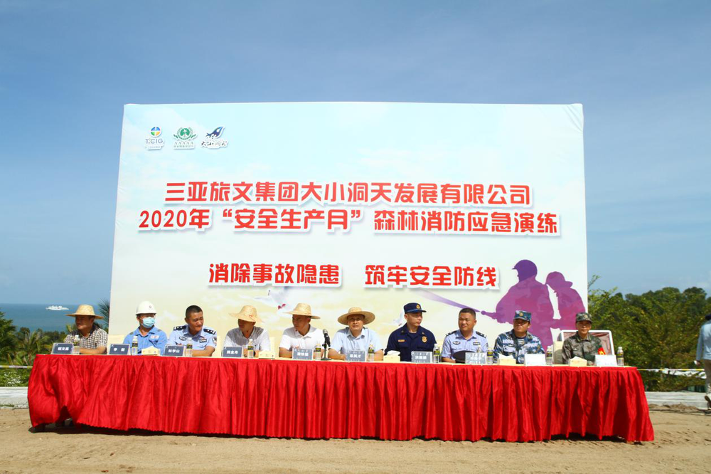 三亚旅游文化发展集团有限公司 三亚旅游文化发展集团有限公司