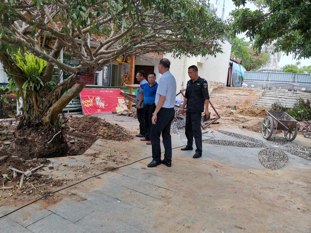 三亚旅游文化发展集团有限公司 三亚旅游文化发展集团有限公司