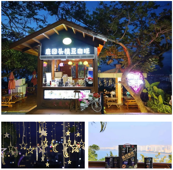 三亚旅游文化发展集团有限公司