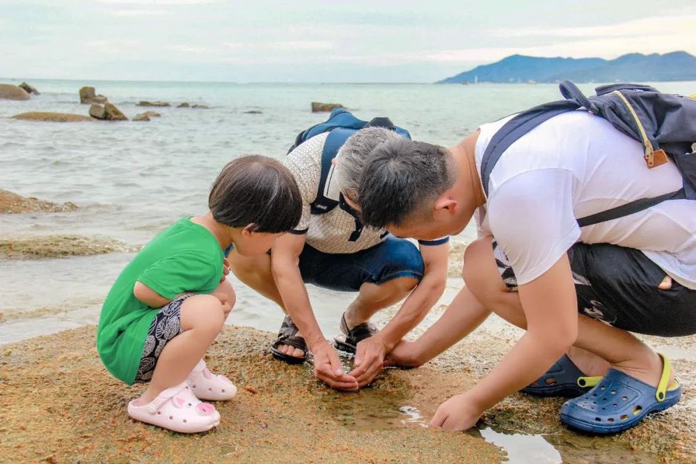 三亚旅游文化发展集团有限公司