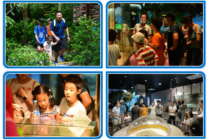 三亚旅游文化发展集团有限公司 三亚旅游文化发展集团有限公司