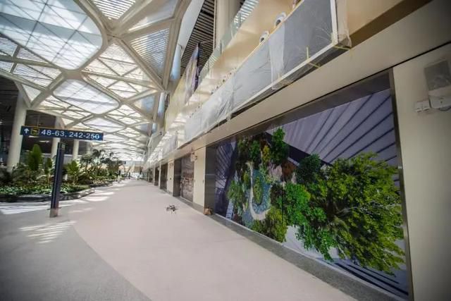 三亚旅游文化发展集团有限公司