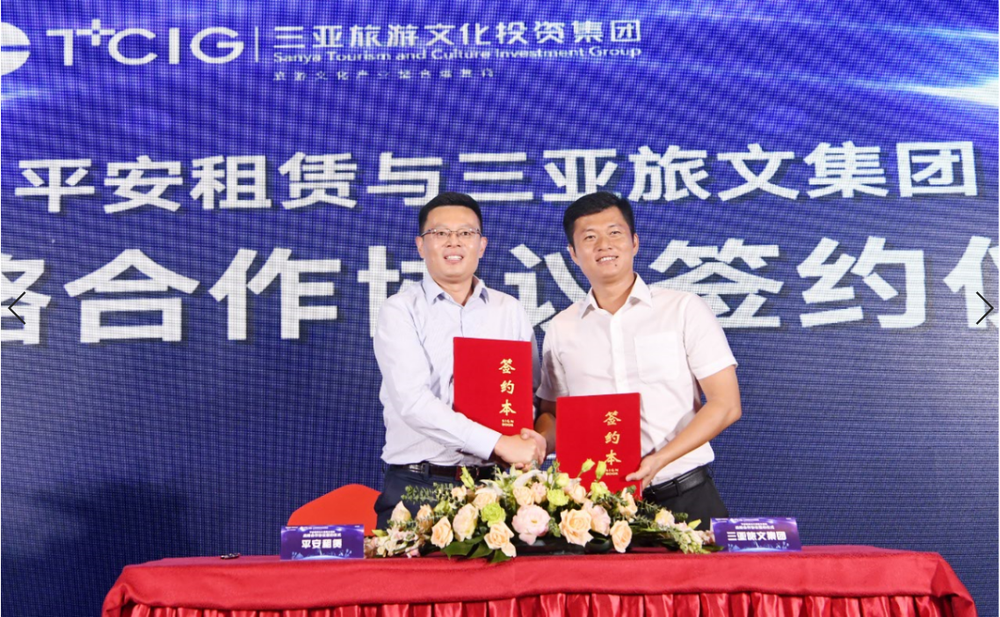 三亚旅游文化发展集团有限公司 三亚旅游文化发展集团有限公司