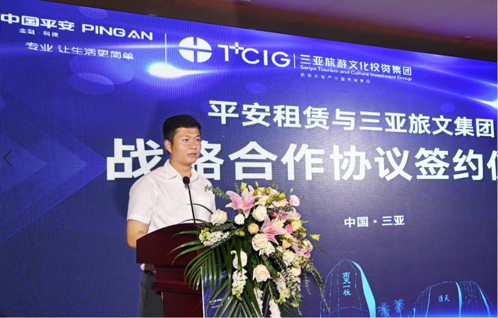 三亚旅游文化发展集团有限公司 三亚旅游文化发展集团有限公司