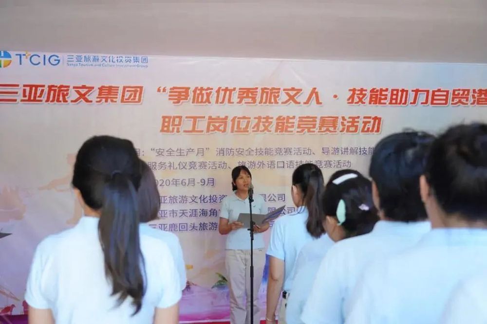 三亚旅游文化发展集团有限公司 三亚旅游文化发展集团有限公司