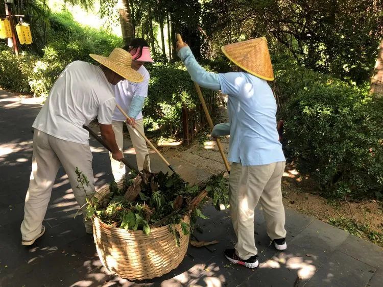 三亚旅游文化发展集团有限公司 三亚旅游文化发展集团有限公司