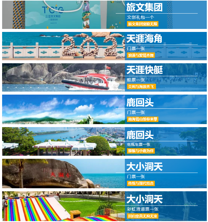 三亚旅游文化发展集团有限公司 三亚旅游文化发展集团有限公司