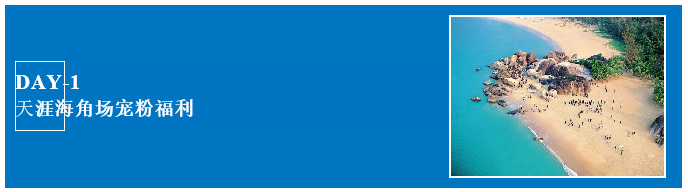 三亚旅游文化发展集团有限公司 三亚旅游文化发展集团有限公司