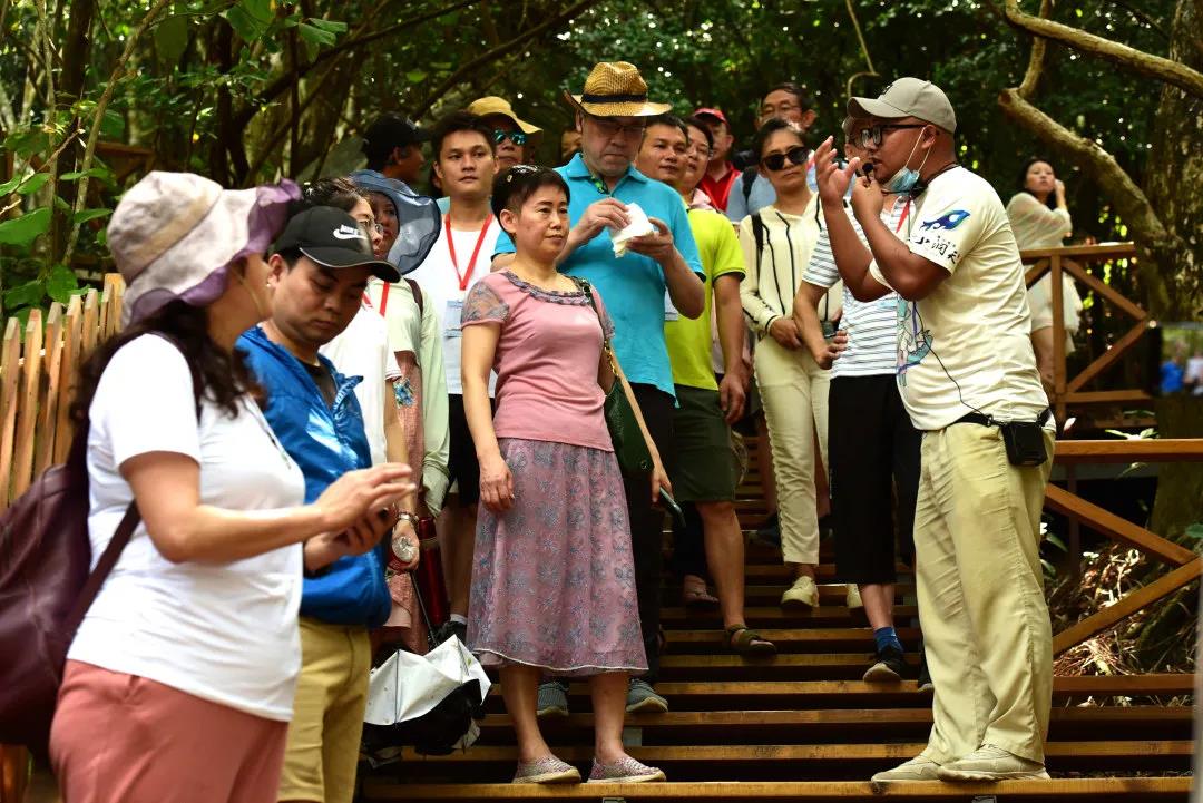 三亚旅游文化发展集团有限公司 三亚旅游文化发展集团有限公司