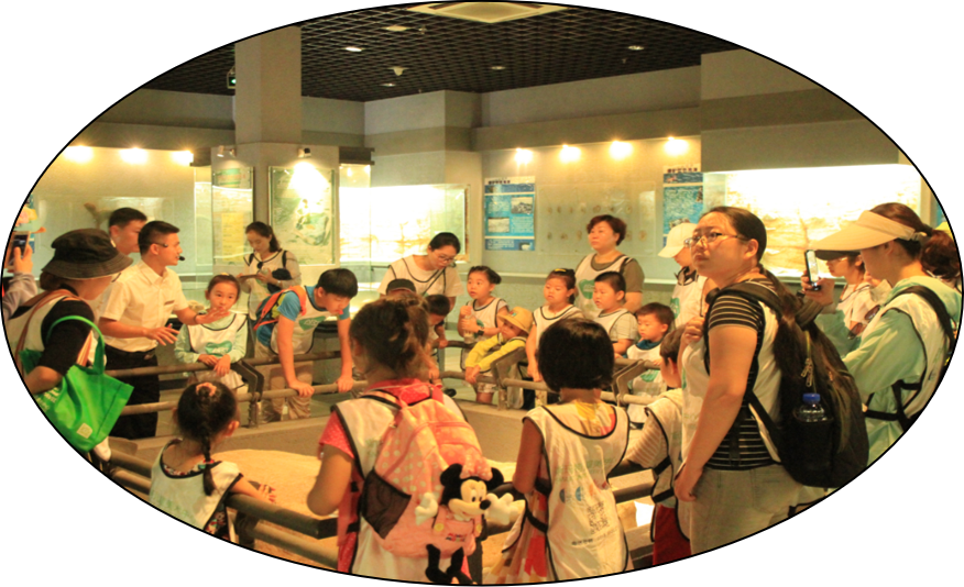 三亚旅游文化发展集团有限公司