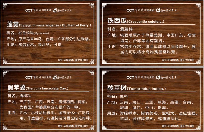 三亚旅游文化发展集团有限公司