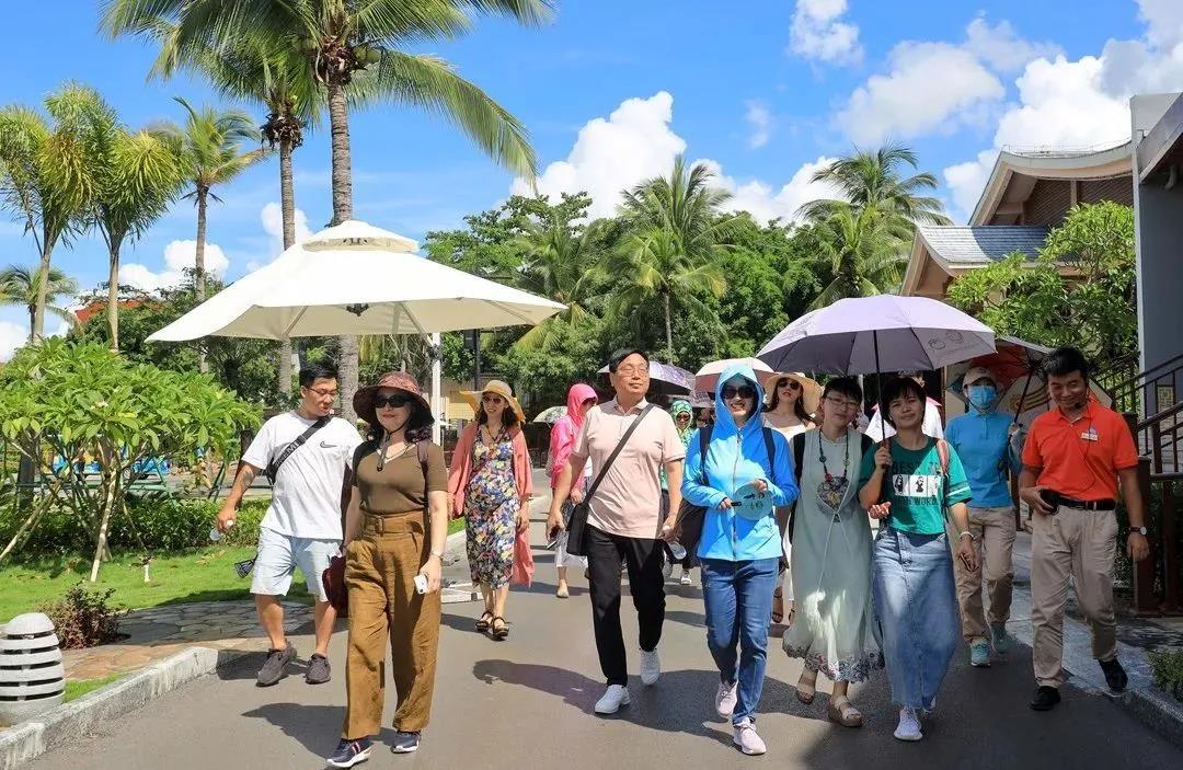三亚旅游文化发展集团有限公司 三亚旅游文化发展集团有限公司