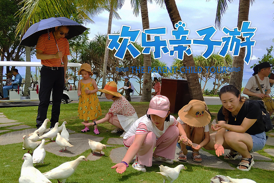 三亚旅游文化发展集团有限公司