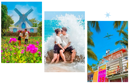 三亚旅游文化发展集团有限公司 三亚旅游文化发展集团有限公司