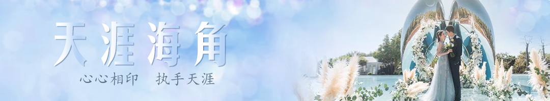 三亚旅游文化发展集团有限公司 三亚旅游文化发展集团有限公司