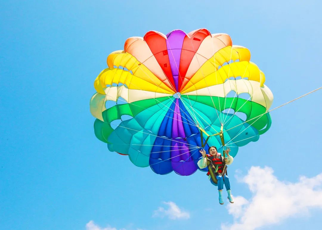 三亚旅游文化发展集团有限公司 三亚旅游文化发展集团有限公司