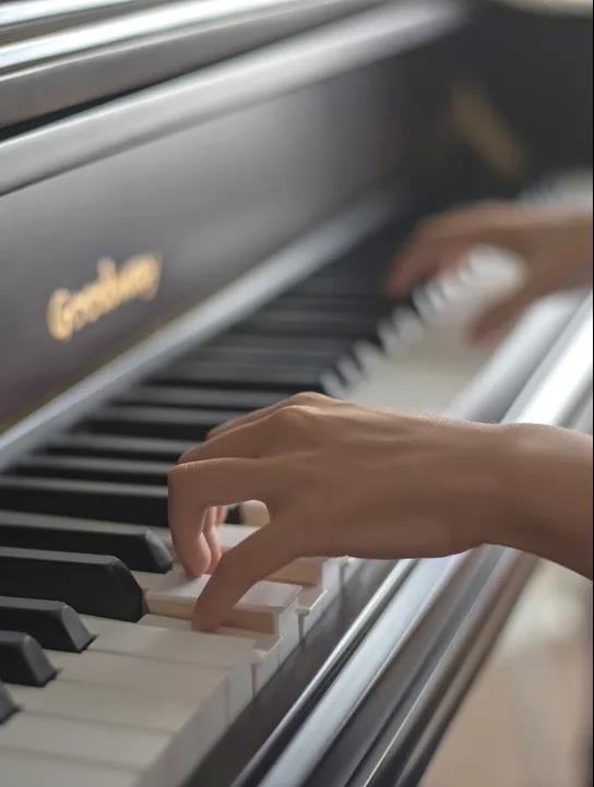 三亚旅游文化发展集团有限公司 三亚旅游文化发展集团有限公司