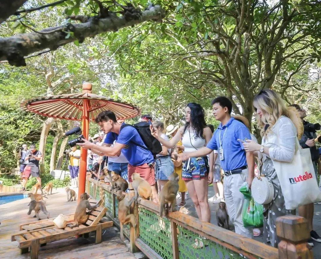 三亚旅游文化发展集团有限公司 三亚旅游文化发展集团有限公司