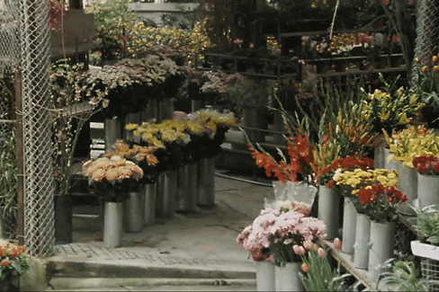 三亚旅游文化发展集团有限公司 三亚旅游文化发展集团有限公司