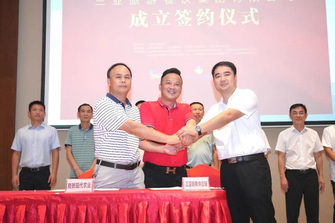 三亚旅游文化发展集团有限公司 三亚旅游文化发展集团有限公司