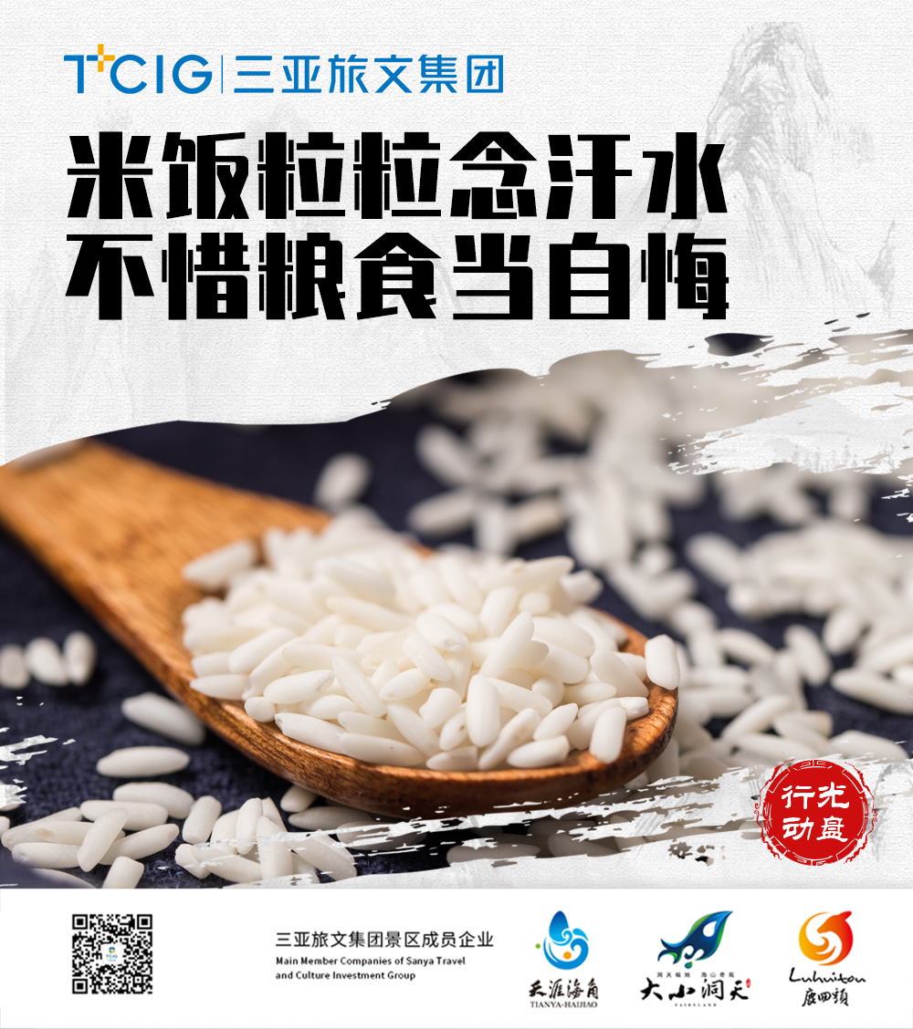 三亚旅游文化发展集团有限公司 三亚旅游文化发展集团有限公司