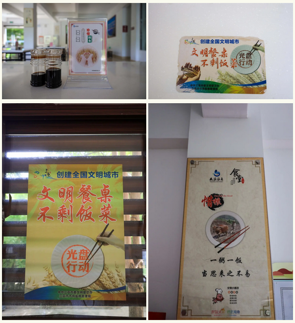 三亚旅游文化发展集团有限公司 三亚旅游文化发展集团有限公司