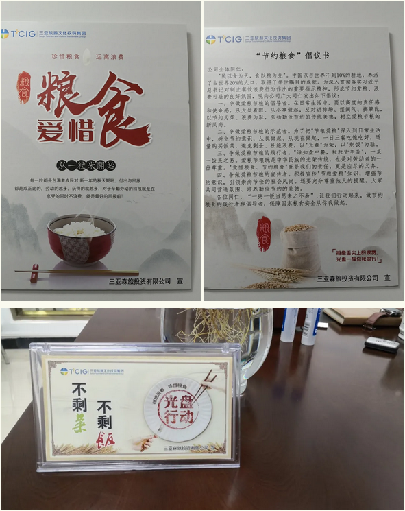 三亚旅游文化发展集团有限公司 三亚旅游文化发展集团有限公司